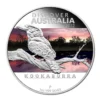 Kookaburra_2_1024x1024@2x