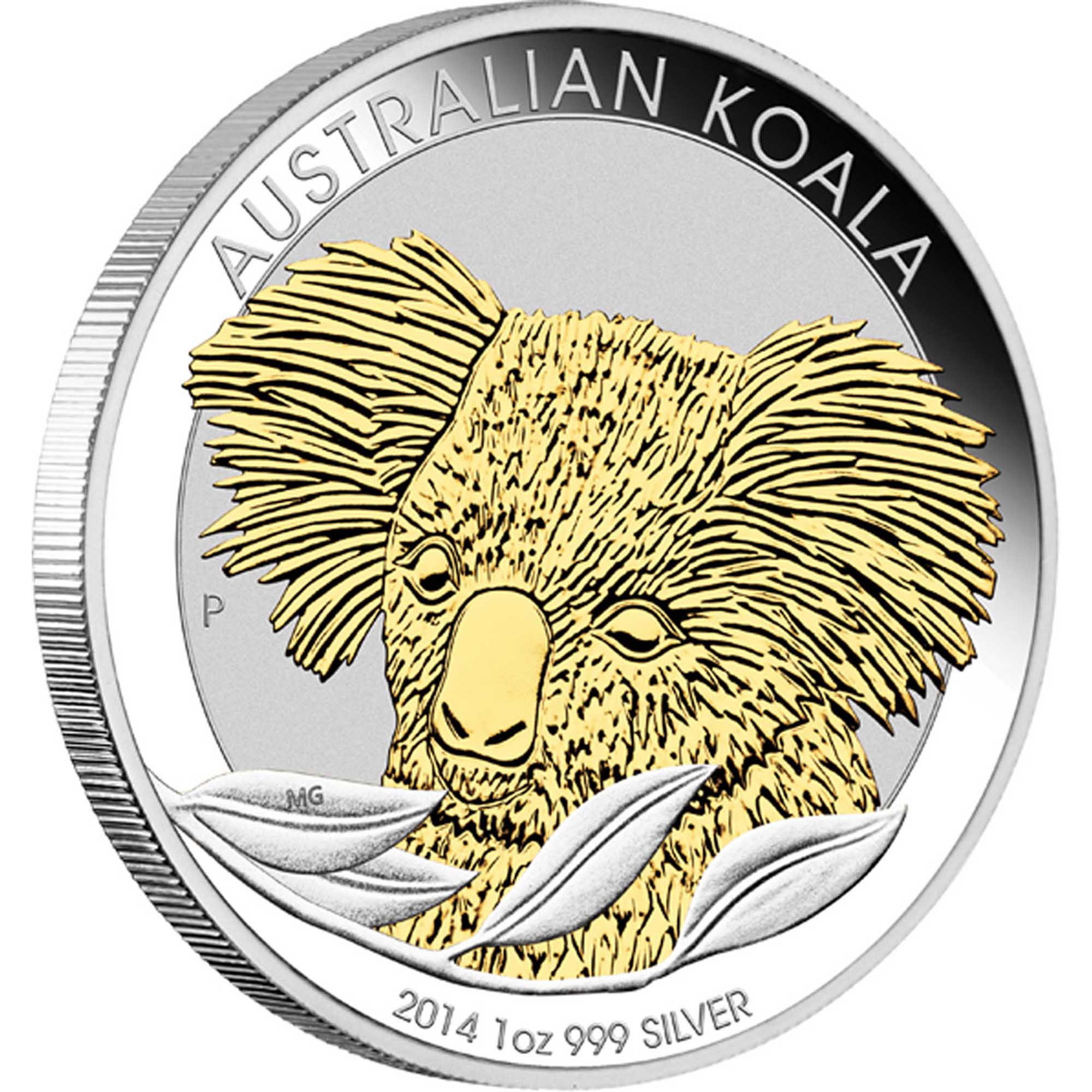 koala 1