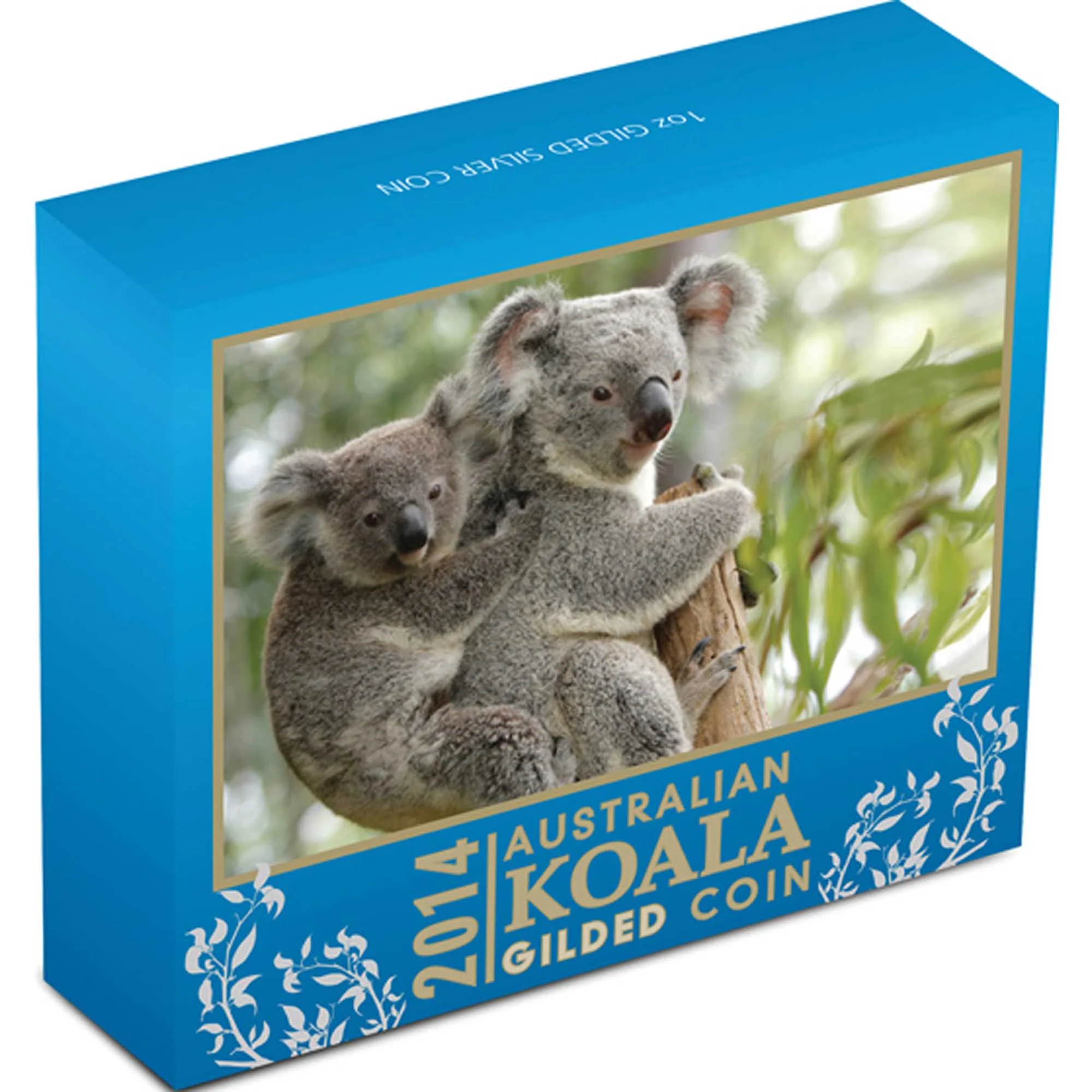 koala 4